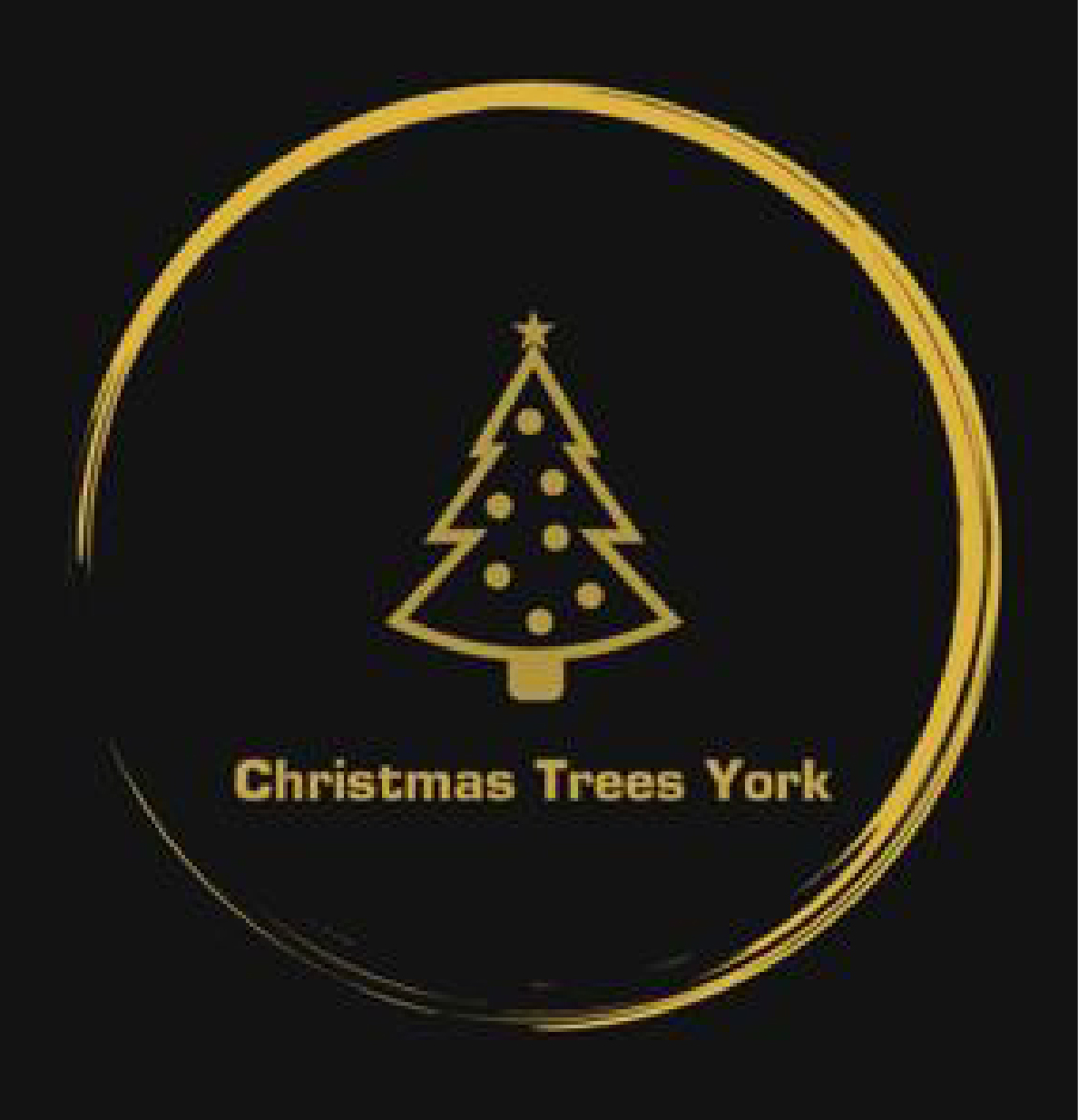 Christmas Trees York